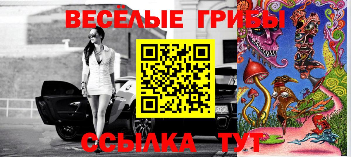 Галлюциногенные грибы Cubensis Камень-на-Оби