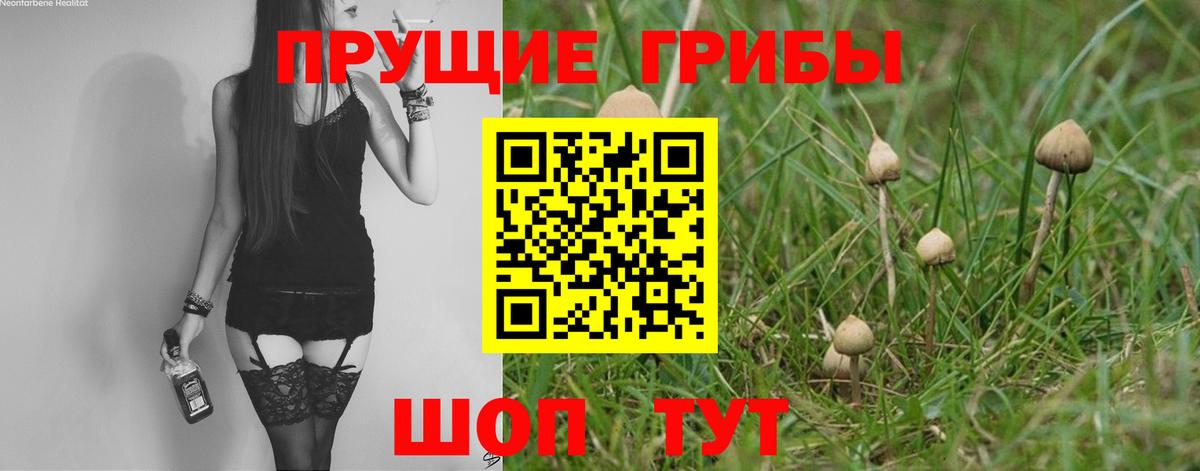 Галлюциногенные грибы мицелий  Вход с VPN  Камень-на-Оби  Псилоцибиновые грибы прущие грибы 